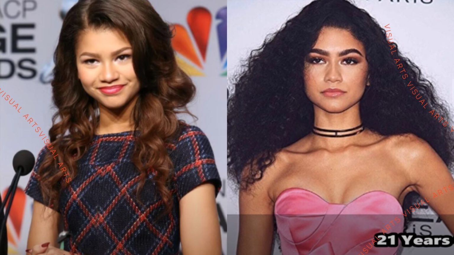 zendaya nose job Image 5